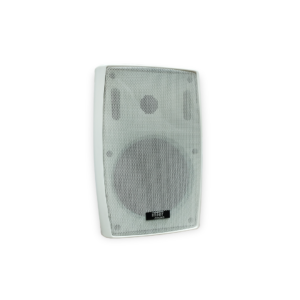 speacker 30W wall