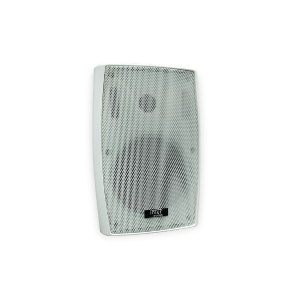 speacker 30W wall